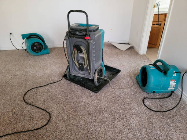 Best Sewage cleanup and water damage restoration  in Crossett, AR