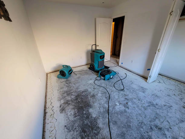 Best Water damage cleanup near me  in Crossett, AR
