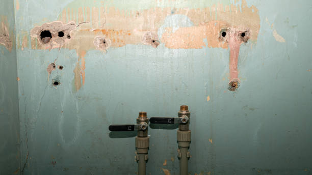 Best Flood restoration services  in Crossett, AR