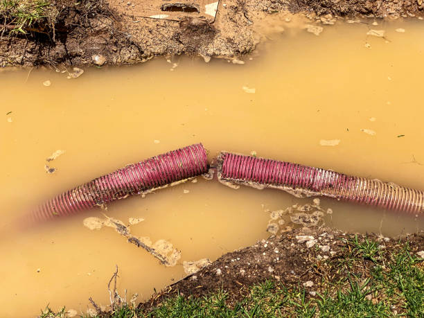 Best Emergency water damage restoration  in Crossett, AR