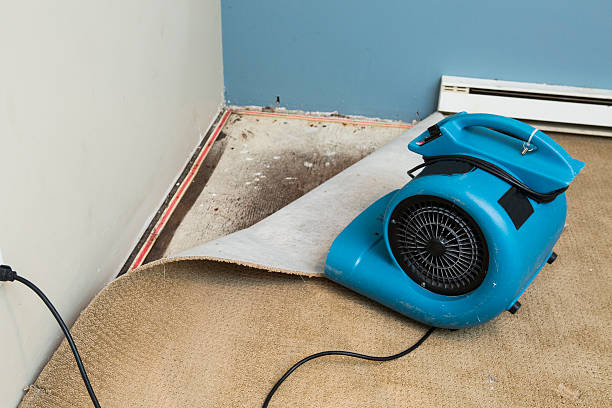 Best Ceiling water damage repair  in Crossett, AR